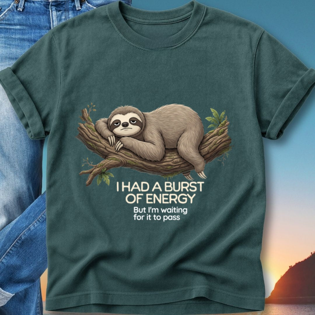 Sloth on a branch with text "I HAD A BURST OF ENERGY but I'm waiting for it to pass".